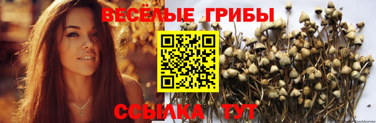 Псилоцибиновые грибы мухоморы Урус-Мартан
